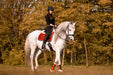 Scarlet Red Brushing Boots - Equine Exchange Tack Shop