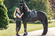 Black Ink Brushing Boots - Equine Exchange Tack Shop