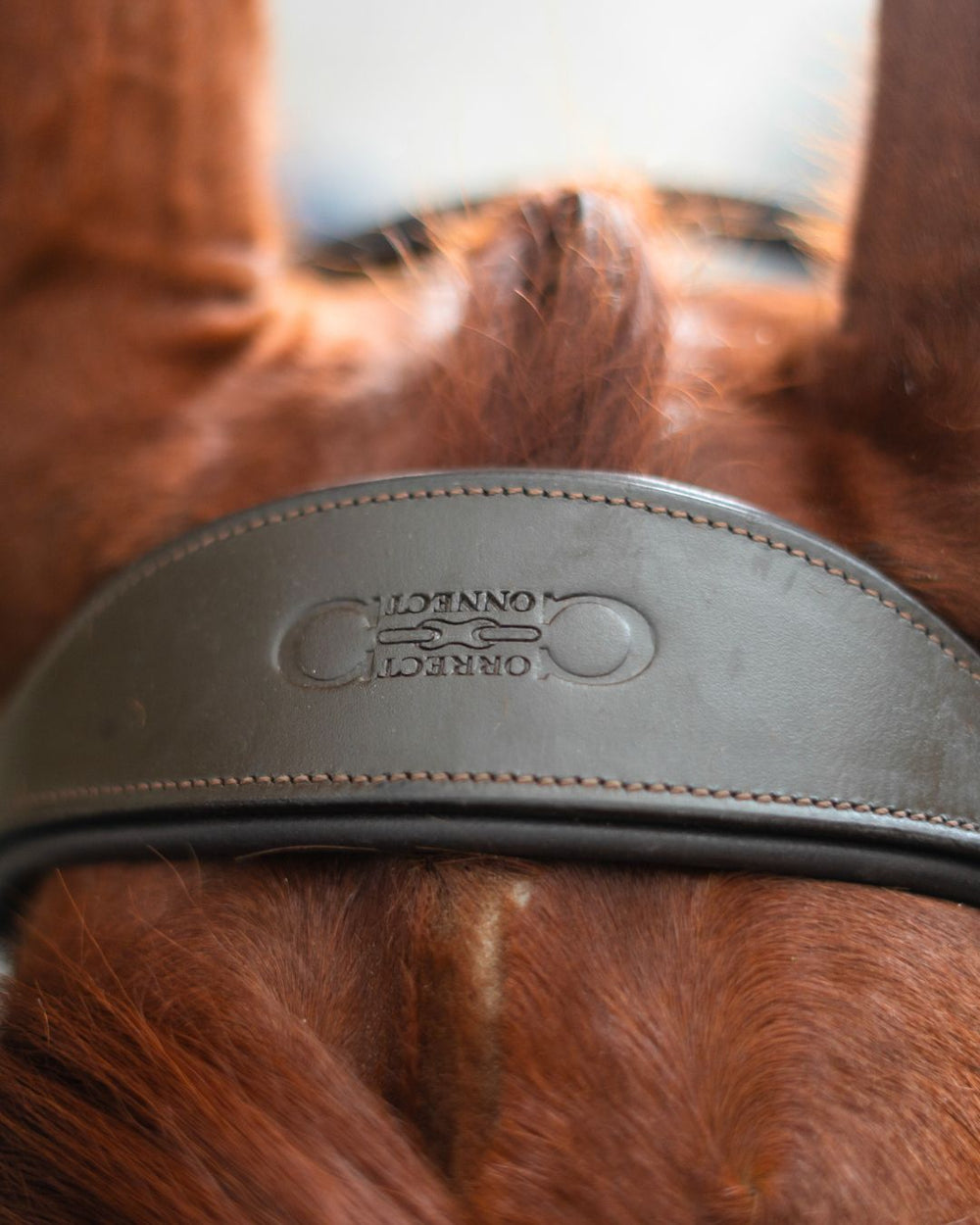 Hidden Flash!  Pro-Fit Comfortable Bridle - Equine Exchange Tack Shop