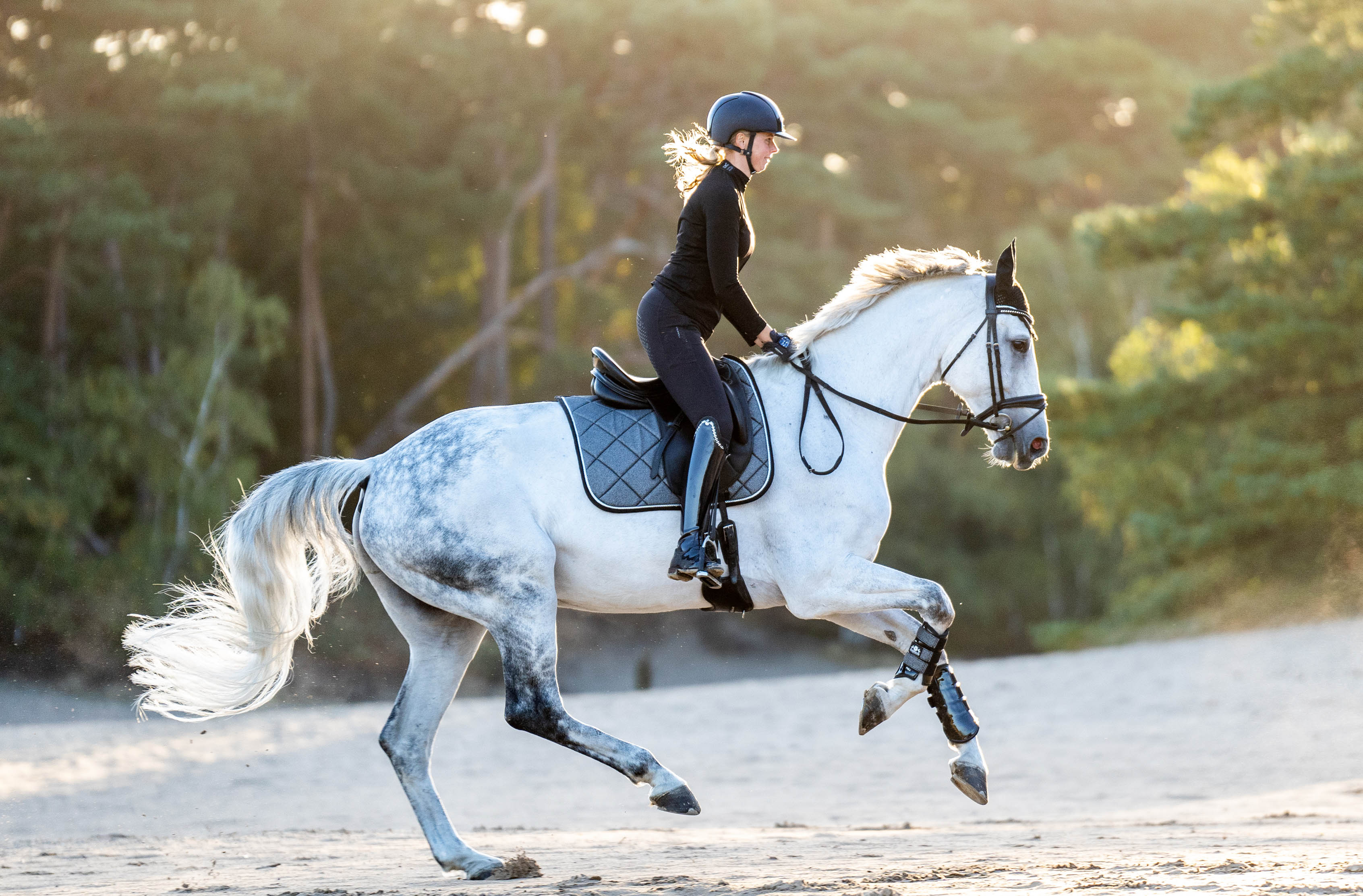 Stardust Grey Brushing Boots - Equine Exchange Tack Shop