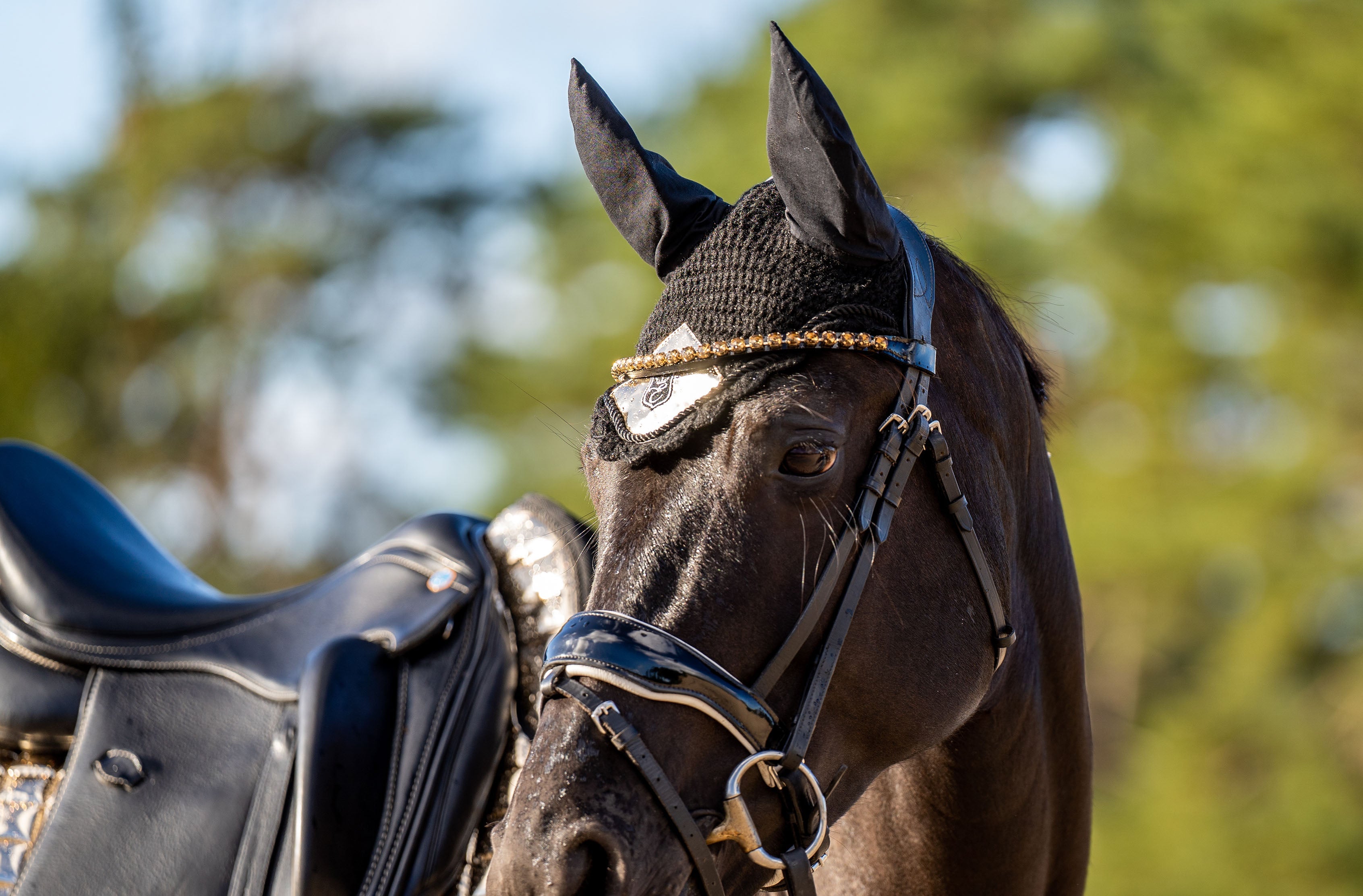 Aurum Saddle Pad Set - Equine Exchange Tack Shop