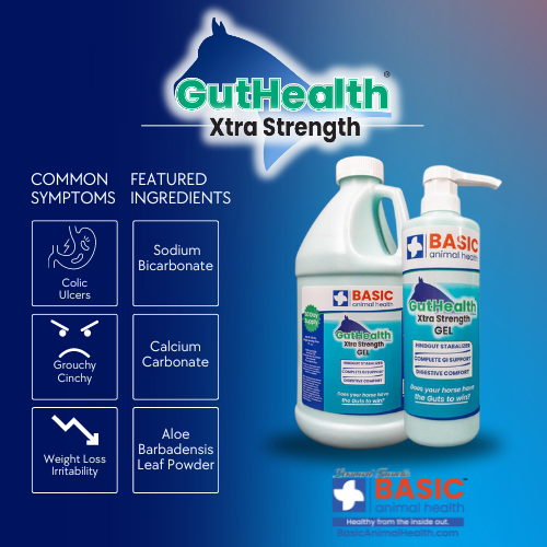 GutHealth Xtra Strength Gel for Horses - Bottles - Equine Exchange Tack Shop