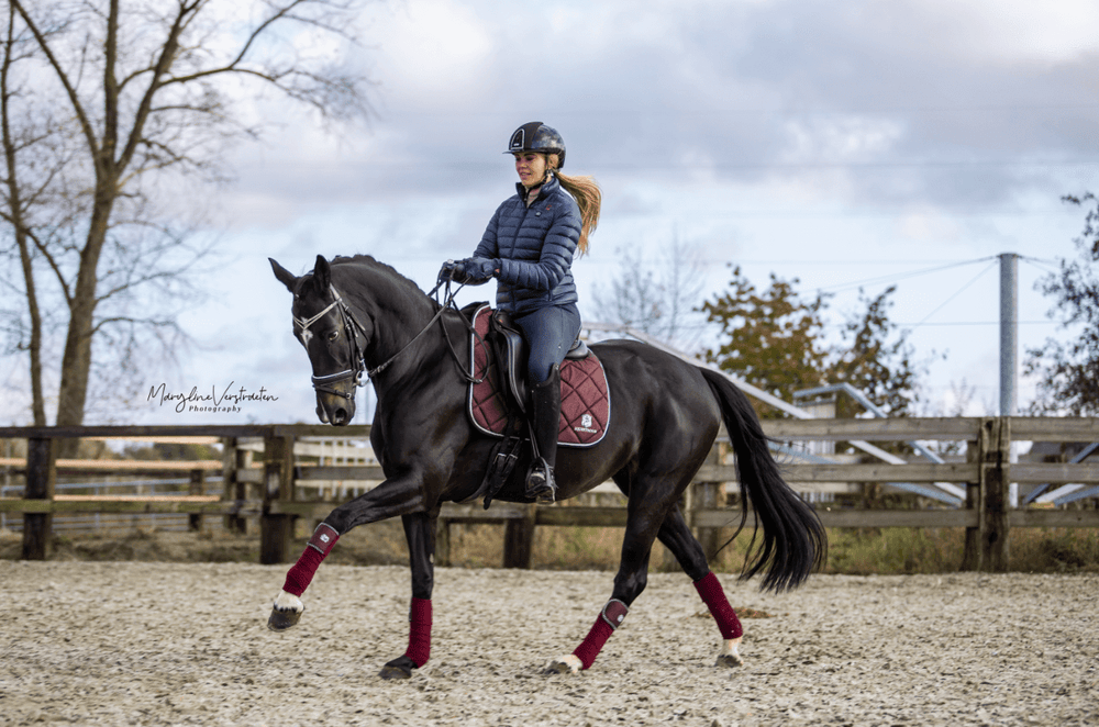 Burgundy Saddle Pad Set