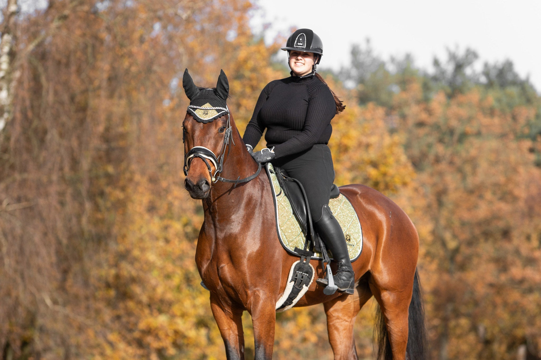 Astris Saddle Pad Set - Equine Exchange Tack Shop