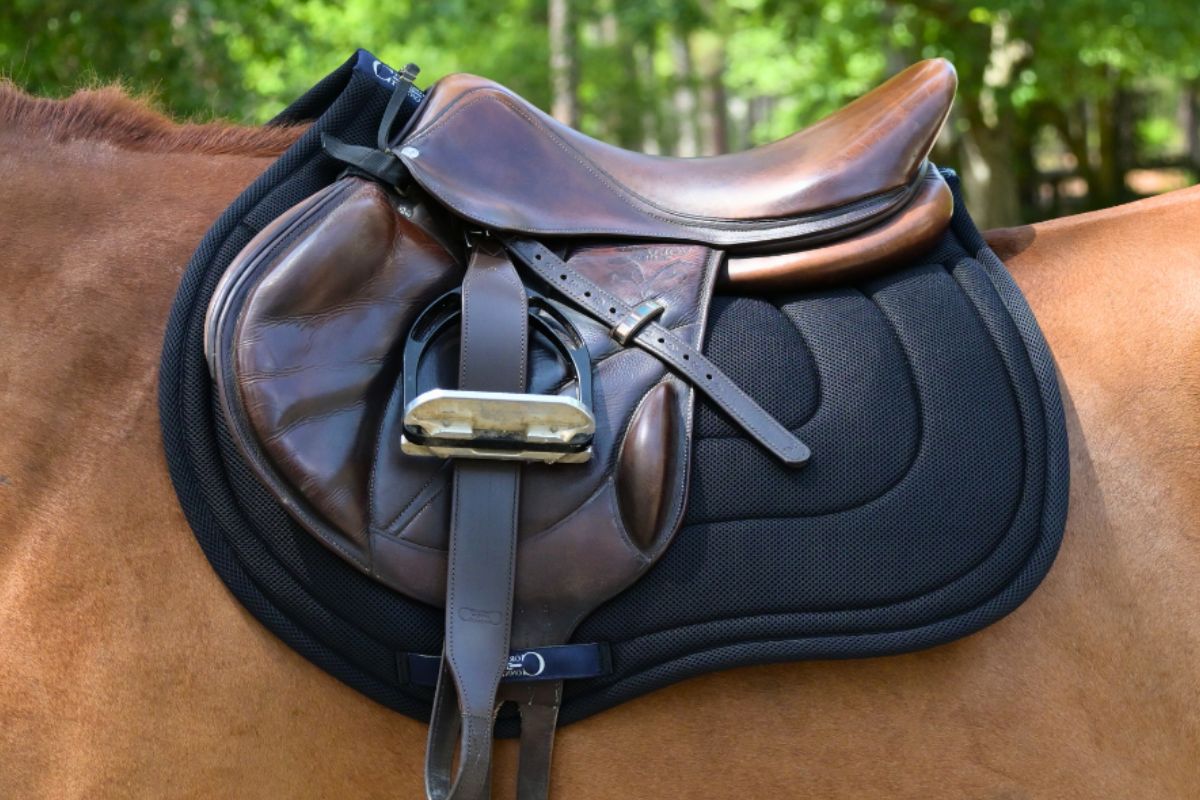 General Purpose Mesh Saddle Pad with Quick Dry Cotton Lining in Navy, White, or Black - Equine Exchange Tack Shop