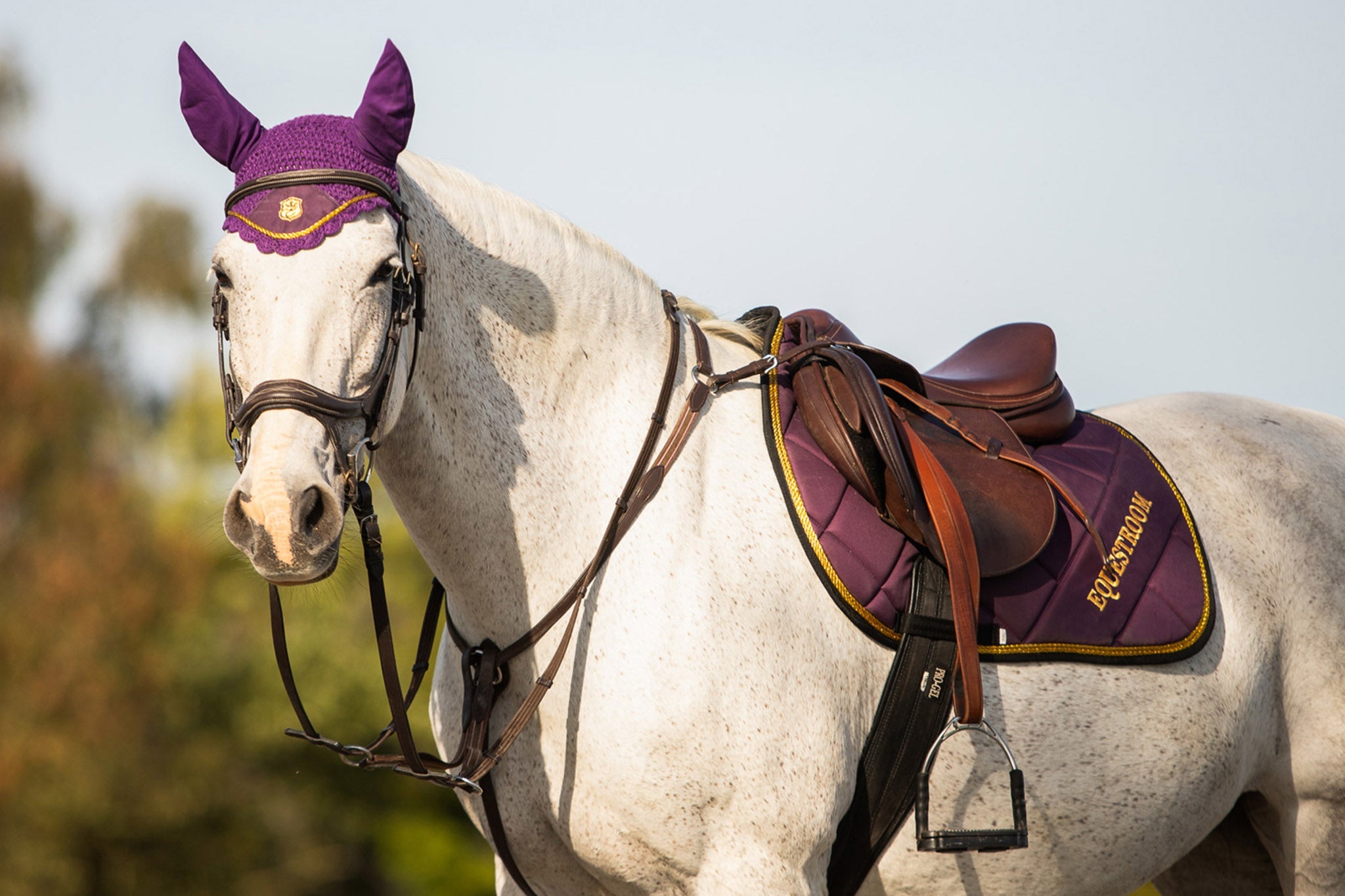 Dark Orchid Saddle Pad - Equine Exchange Tack Shop