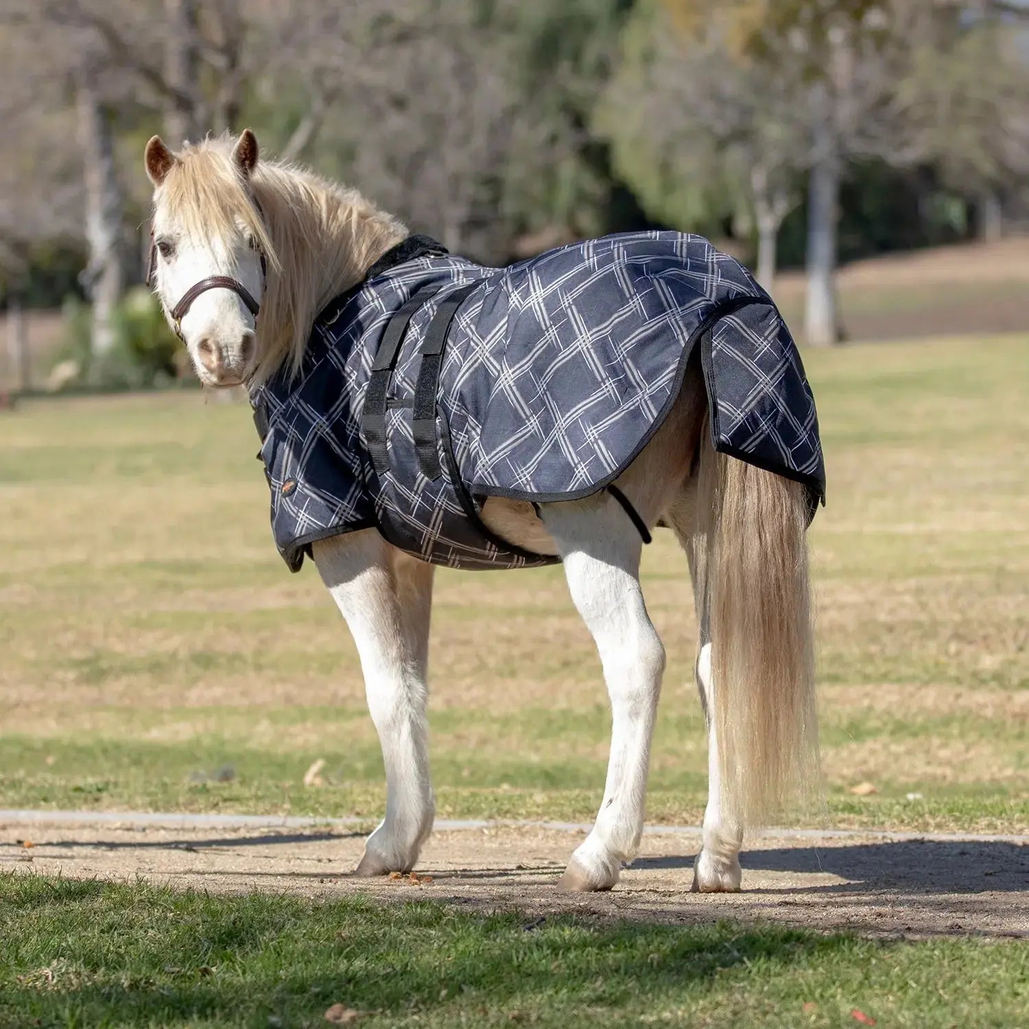 1200D 180G Medium Weight Waterproof & Breathable Mini Winter Turnout Blanket - Equine Exchange Tack Shop