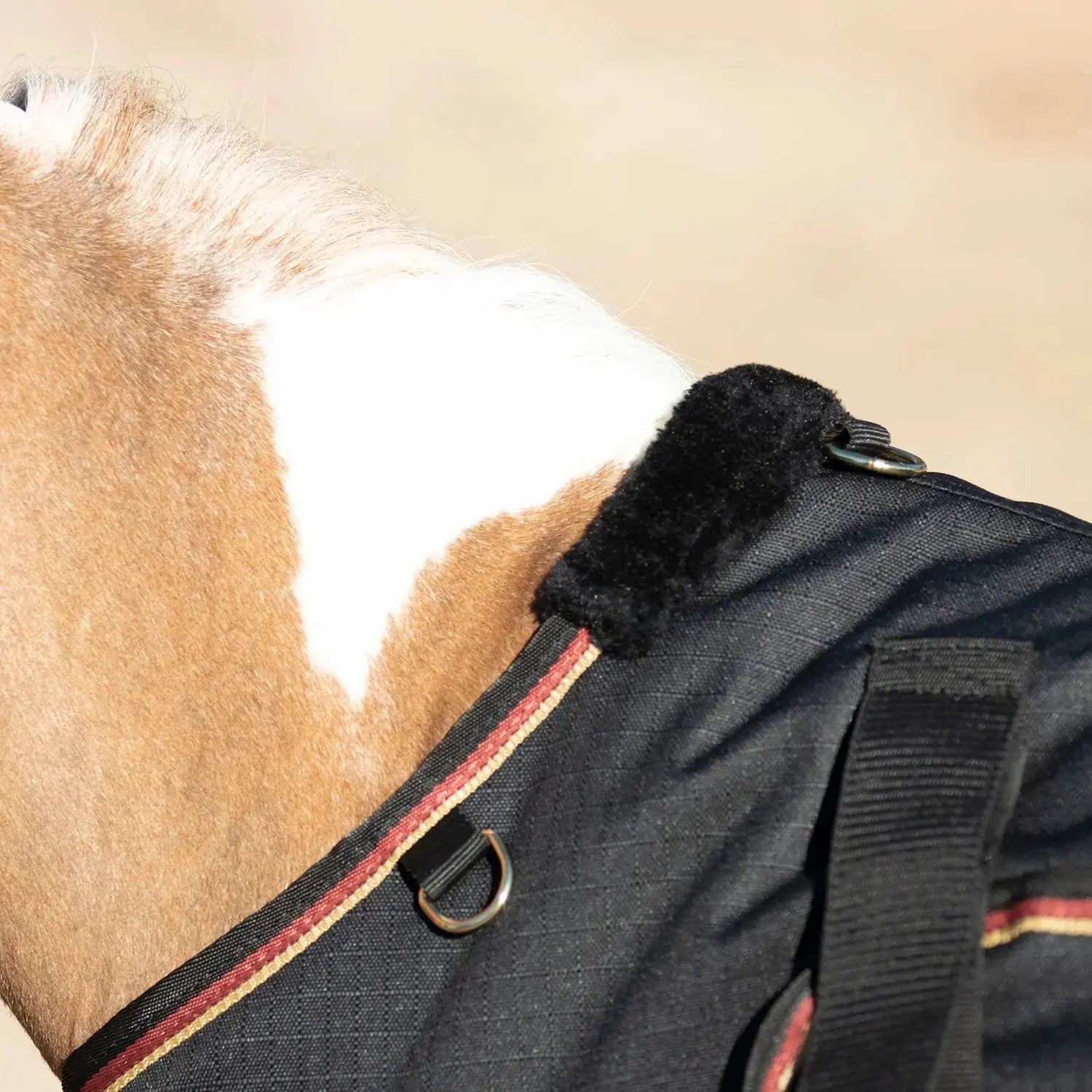 1200D 180G Medium Weight Waterproof & Breathable Mini Winter Turnout Blanket - Equine Exchange Tack Shop