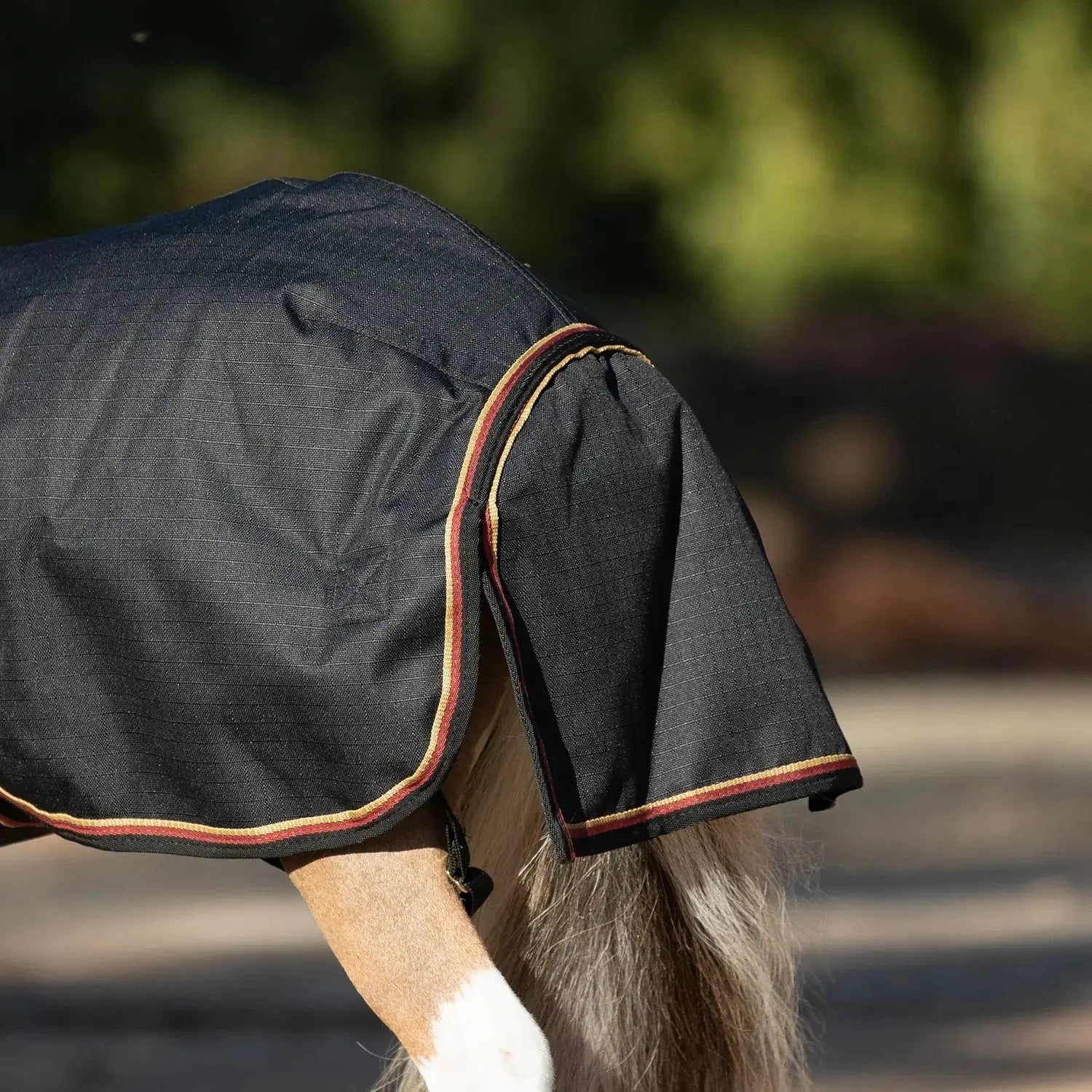 1200D 180G Medium Weight Waterproof & Breathable Mini Winter Turnout Blanket - Equine Exchange Tack Shop