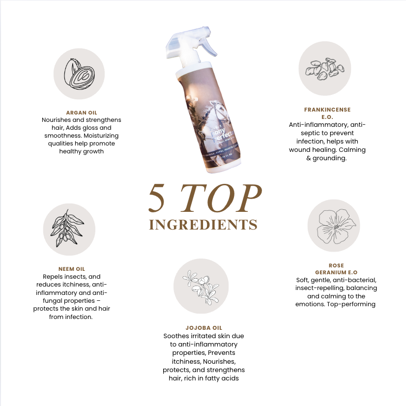 3-in-1 Pony Perfector Leave-in Remedy - Equine Exchange Tack Shop