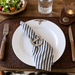 Longhorn Melamine Lunch Plates - Set of 4  