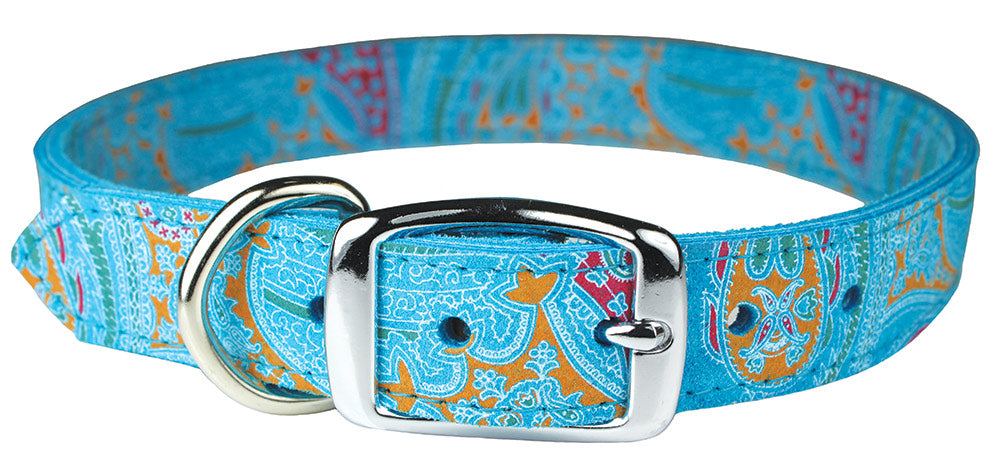 OmniPet Paisley Dog Collars