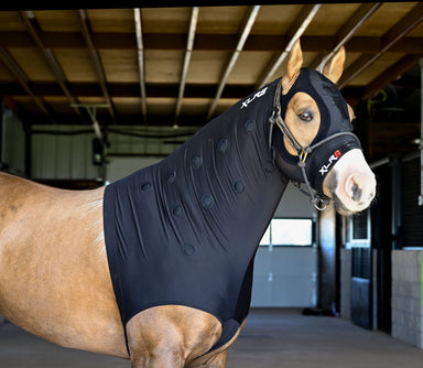 Velocity Hood - Equine Exchange Tack Shop