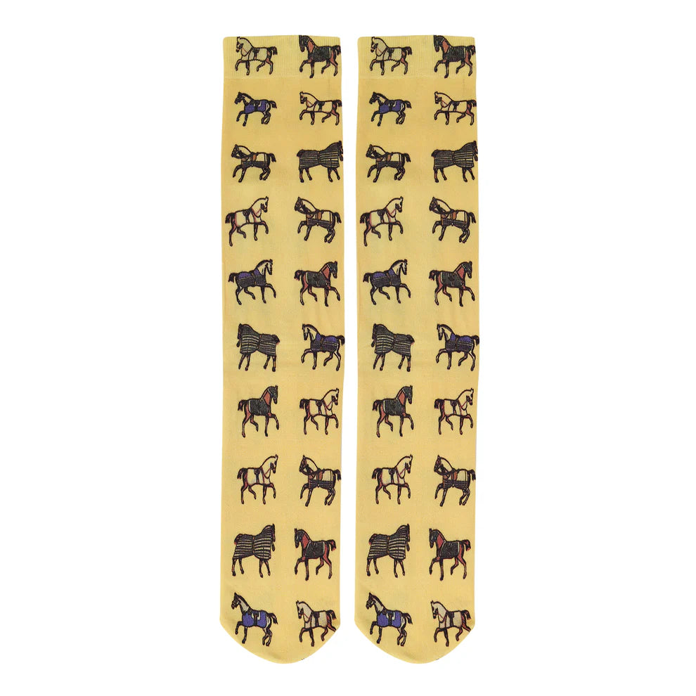 AWST Horses in Blankets