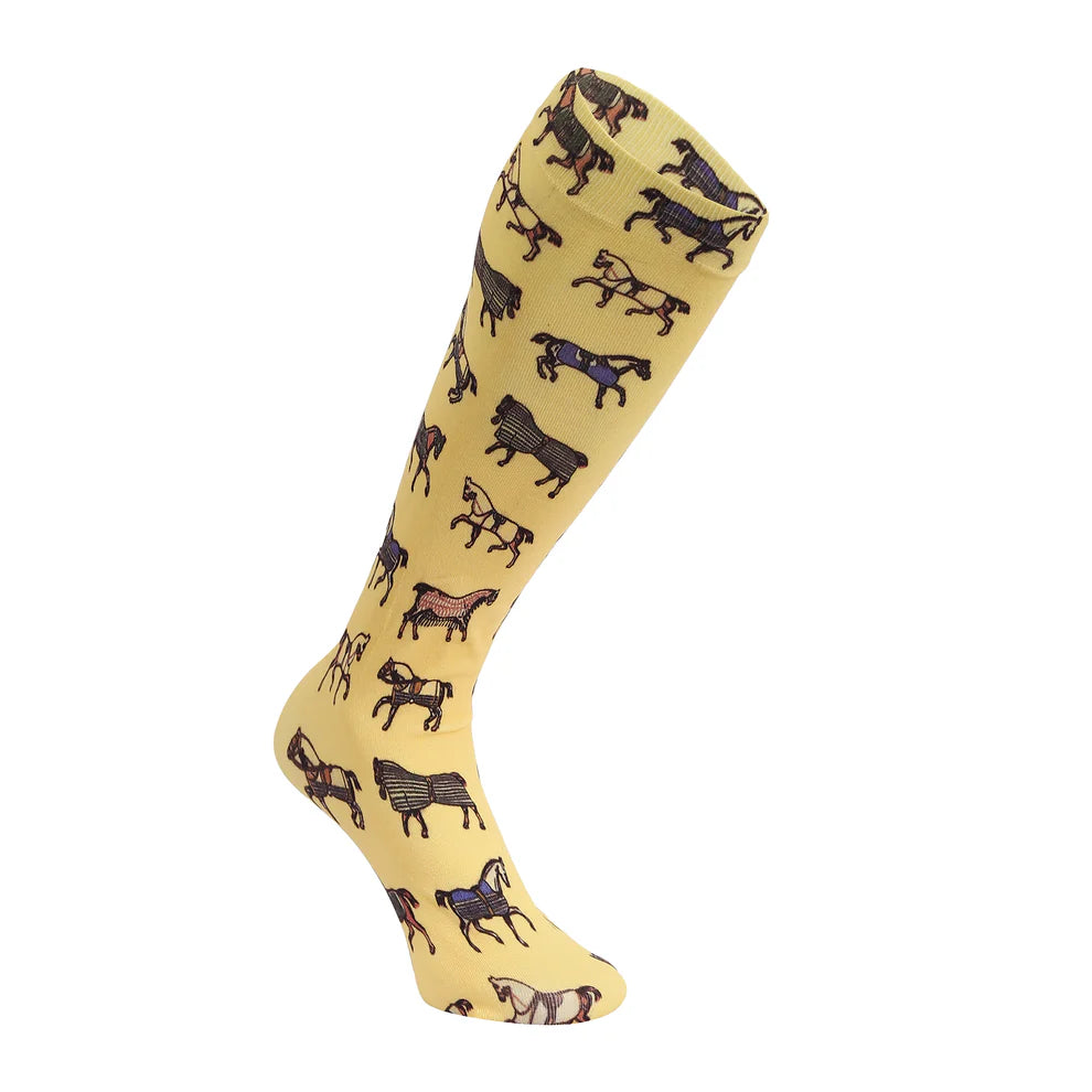 AWST Horses in Blankets