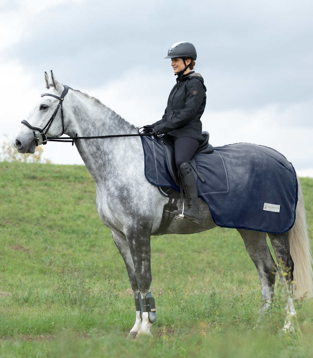 Comfort Exercise Fly Sheet - Equine Exchange Tack Shop