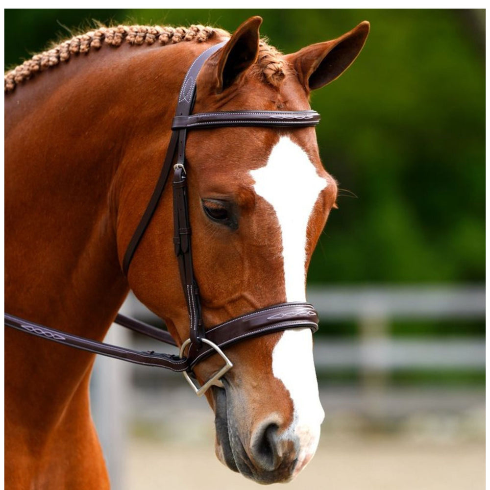 Black Oak Tupelo Hunter Bridle - Equine Exchange Tack Shop