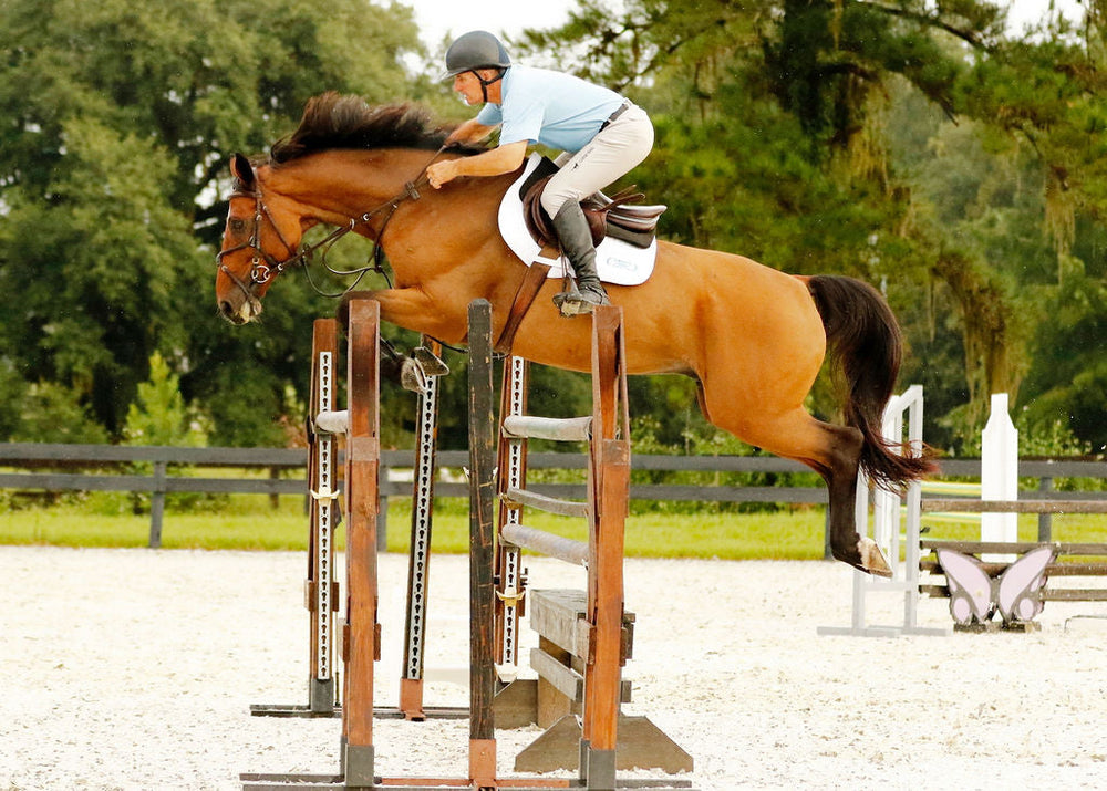 Aaron Vale Rein-3 Padded Hand Grips - Equine Exchange Tack Shop