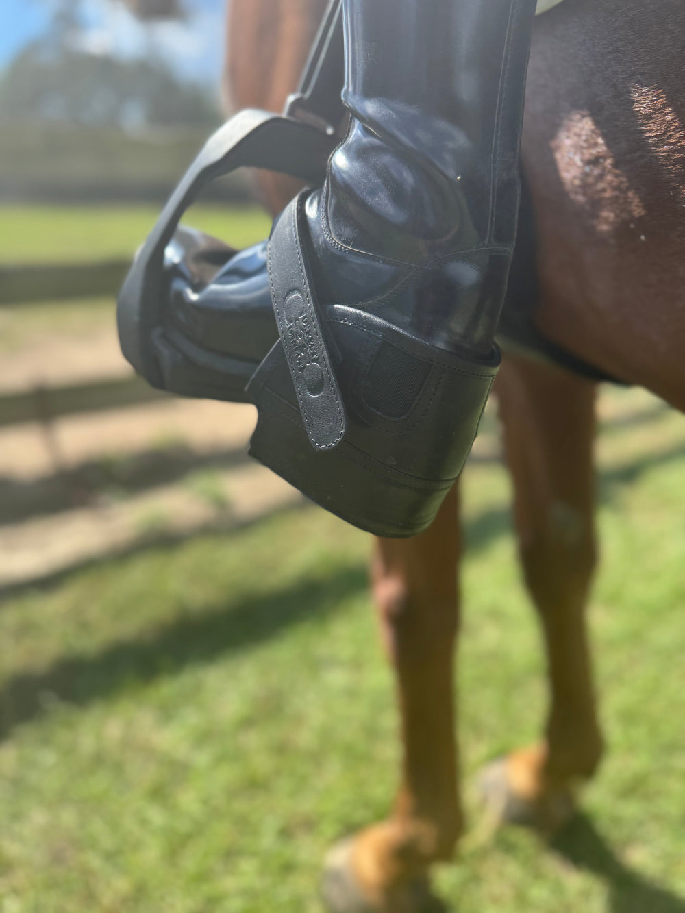 Equisole EXternal-Weighted Training Aid for Equestrians - Equine Exchange Tack Shop