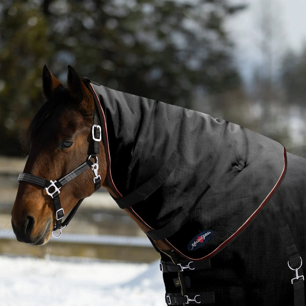 1200D 180G Medium Weight Waterproof & Breathable Winter Neck Warmer - Equine Exchange Tack Shop