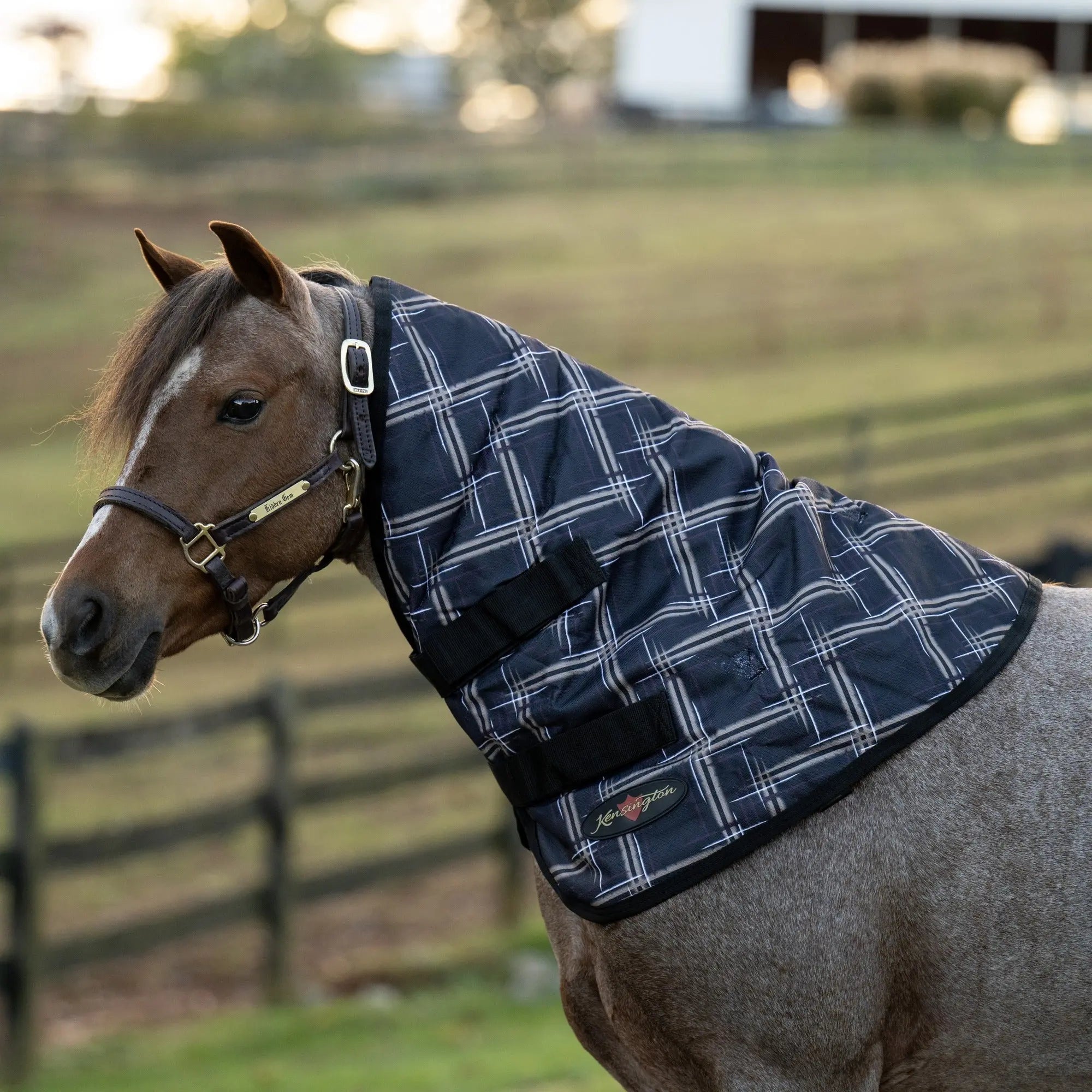 1200D 180G Medium Weight Waterproof & Breathable Pony Winter Neck Warmer - Equine Exchange Tack Shop