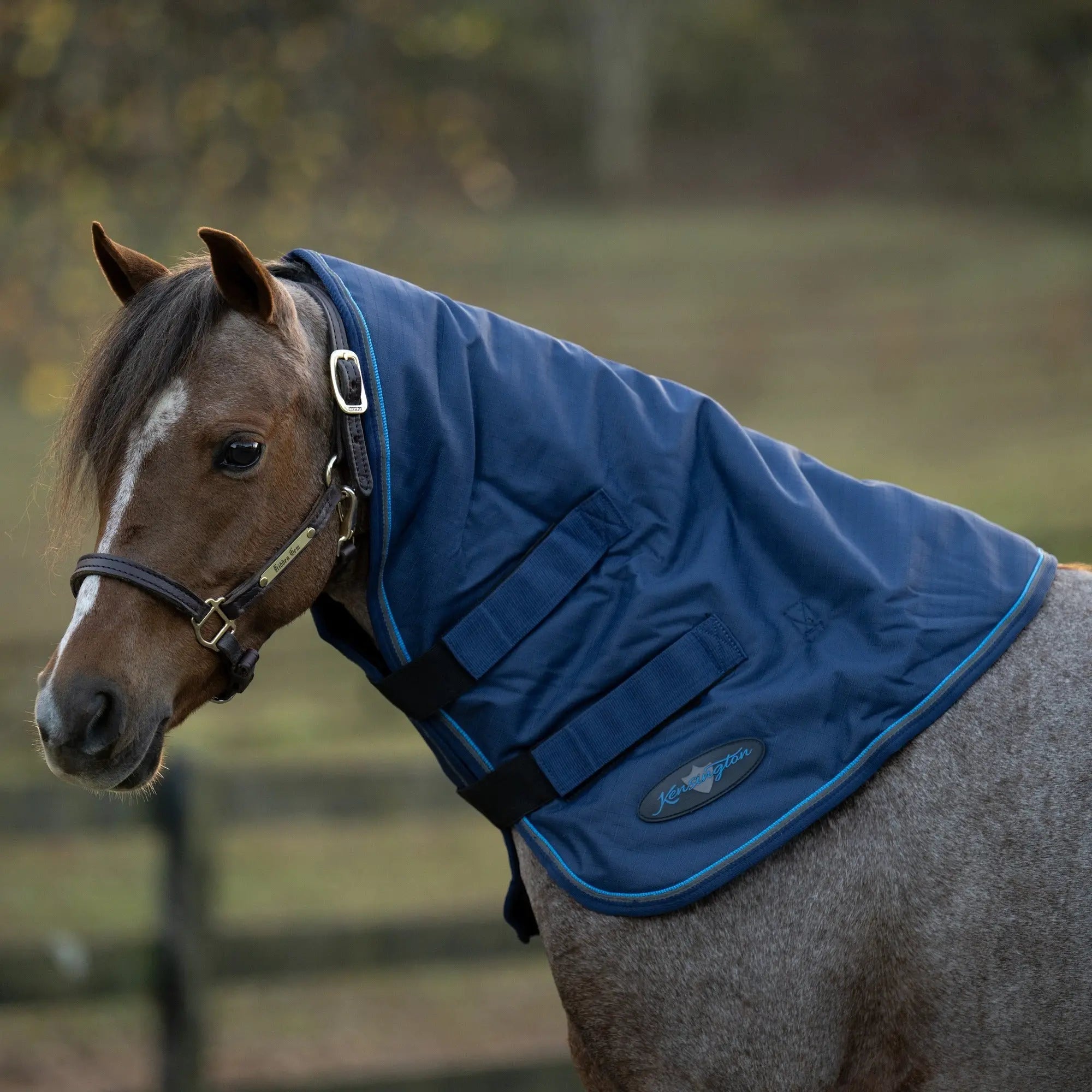 1200D 180G Medium Weight Waterproof & Breathable Pony Winter Neck Warmer - Equine Exchange Tack Shop
