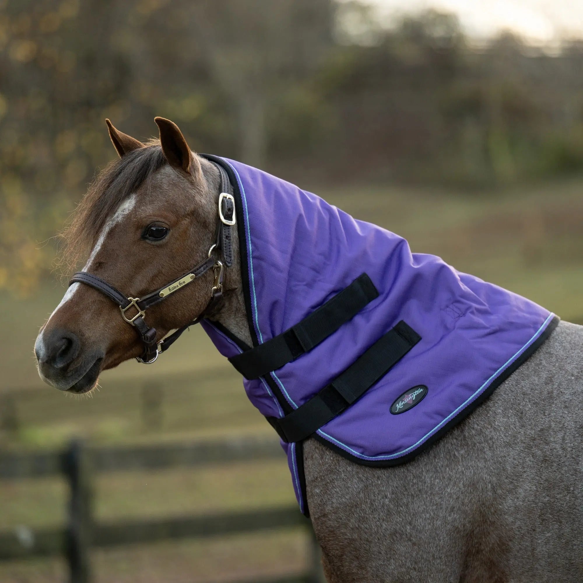 1200D 180G Medium Weight Waterproof & Breathable Pony Winter Neck Warmer - Equine Exchange Tack Shop