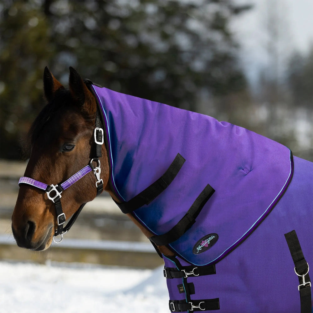 1200D 180G Medium Weight Waterproof & Breathable Winter Neck Warmer - Equine Exchange Tack Shop