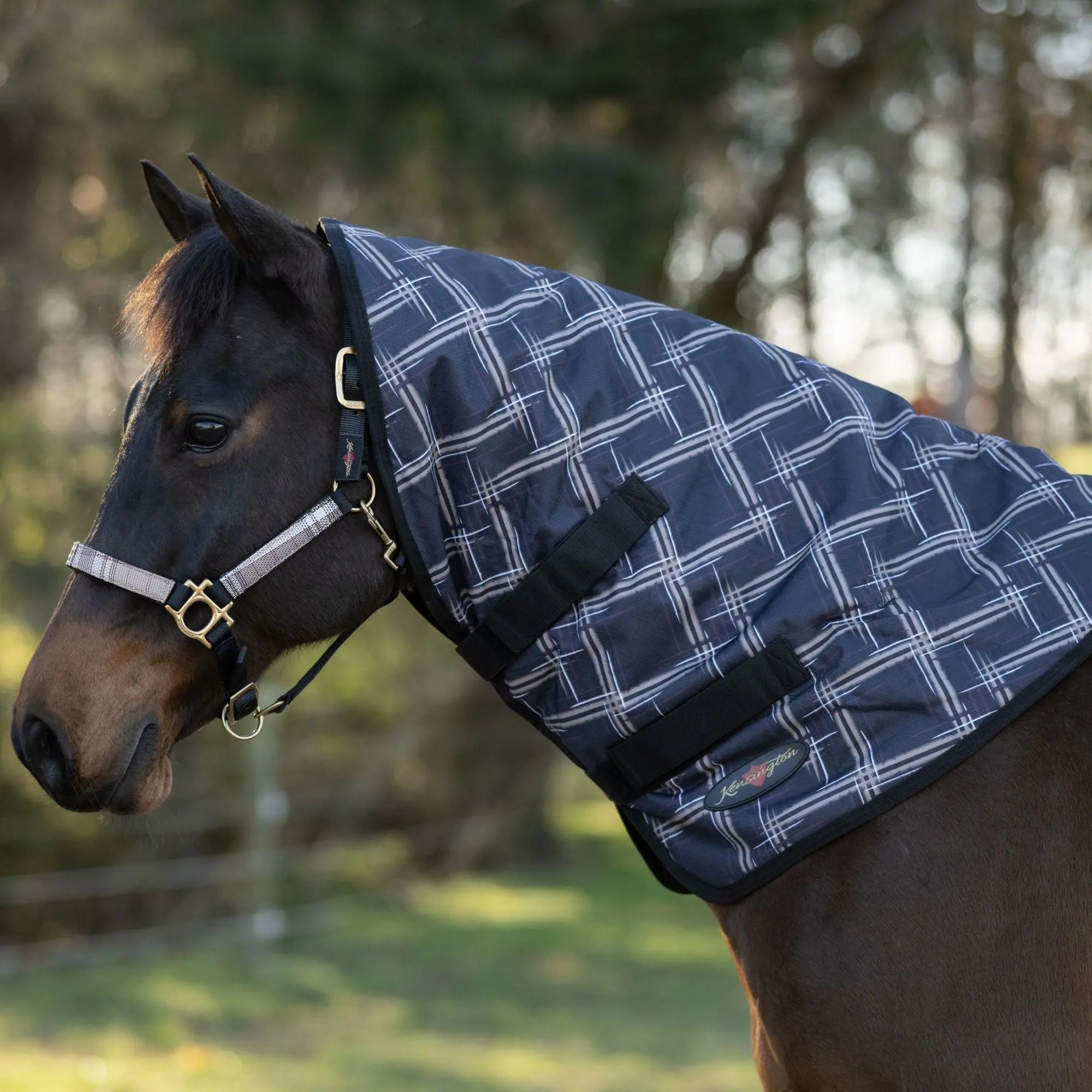 1200D 180G Medium Weight Waterproof & Breathable Winter Neck Warmer - Equine Exchange Tack Shop
