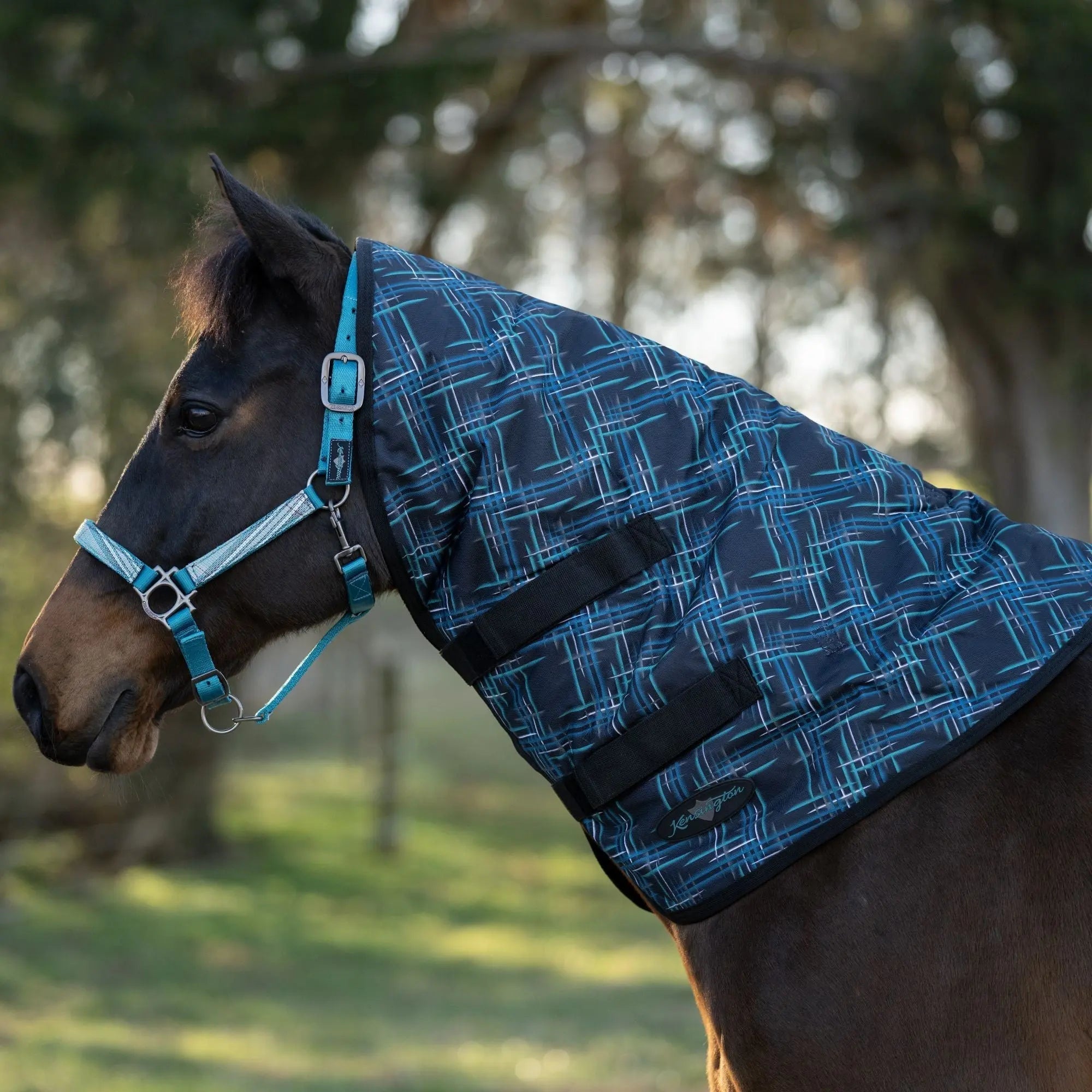 1200D 180G Medium Weight Waterproof & Breathable Winter Neck Warmer - Equine Exchange Tack Shop