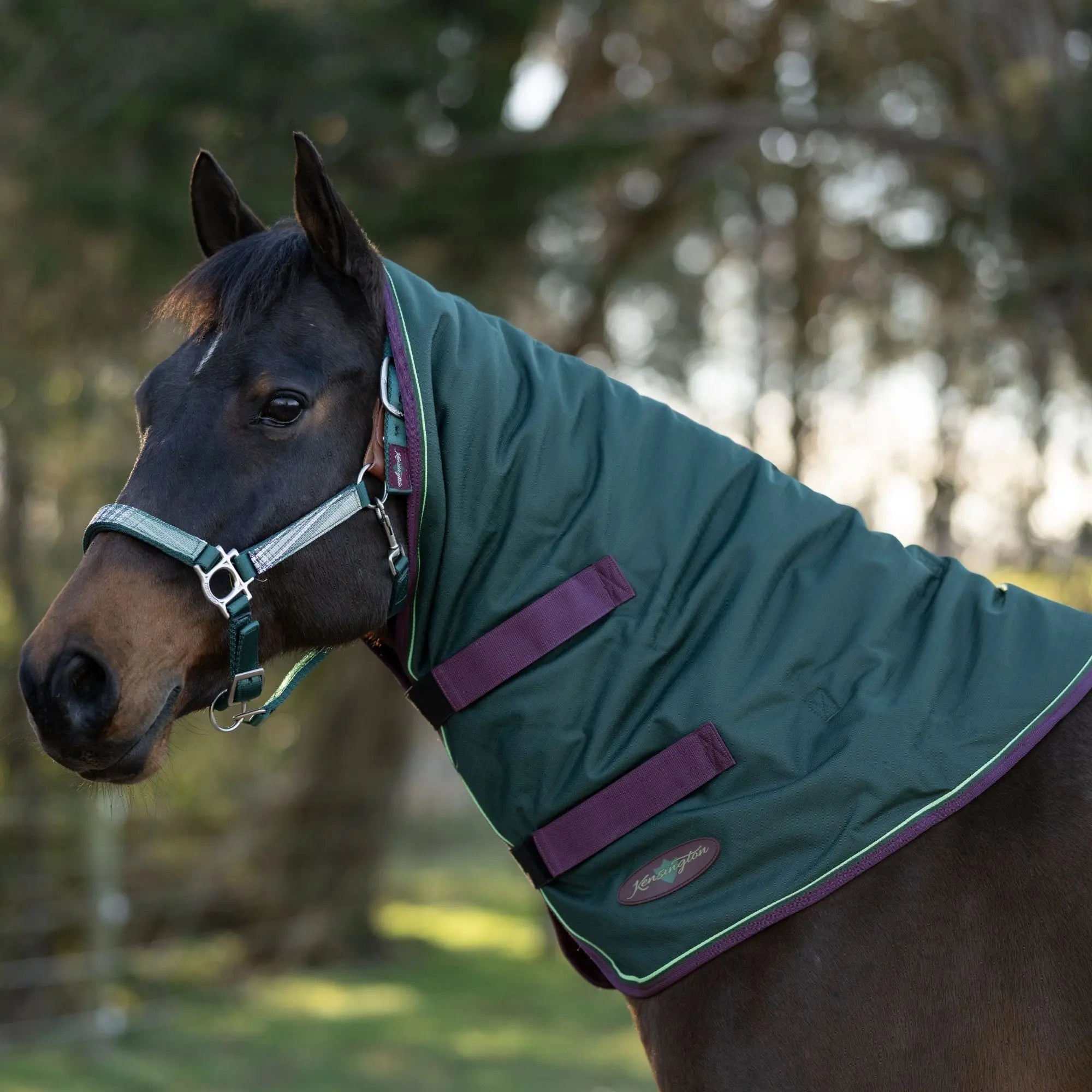 1200D 180G Medium Weight Waterproof & Breathable Winter Neck Warmer - Equine Exchange Tack Shop