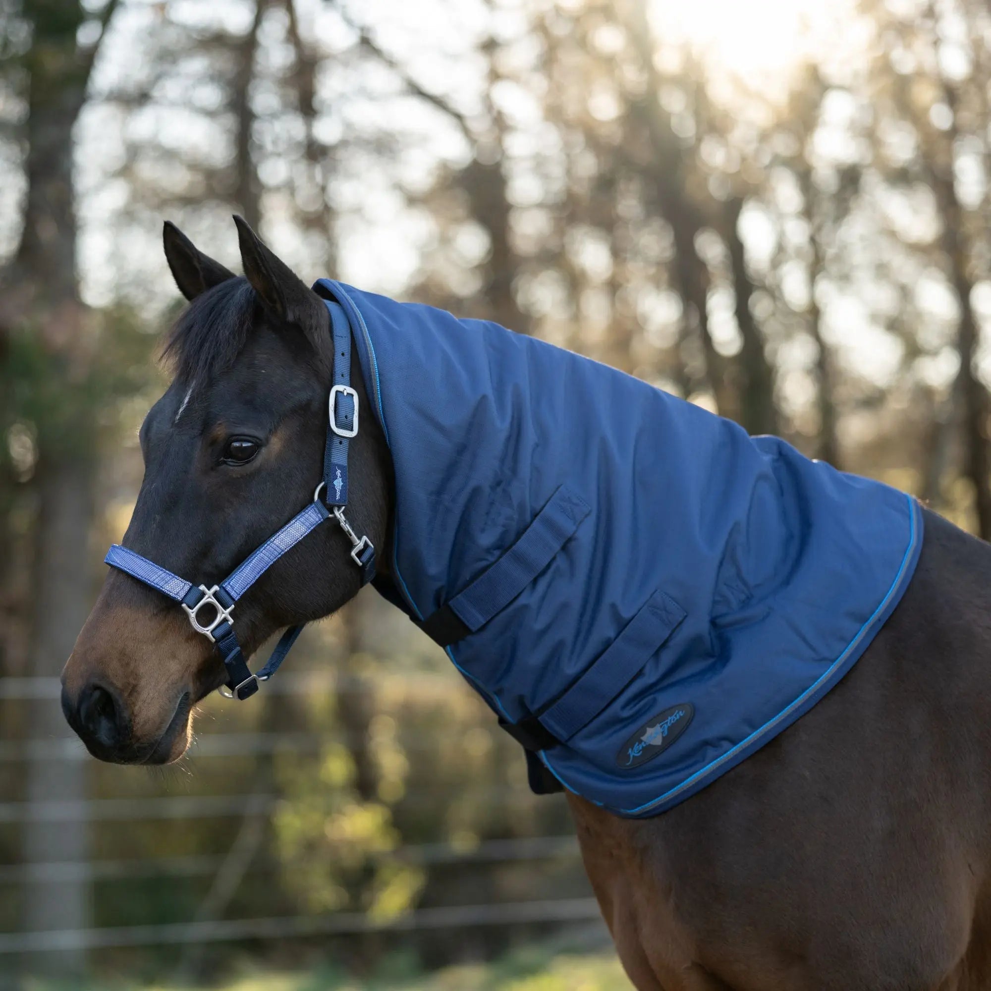 1200D 180G Medium Weight Waterproof & Breathable Winter Neck Warmer - Equine Exchange Tack Shop
