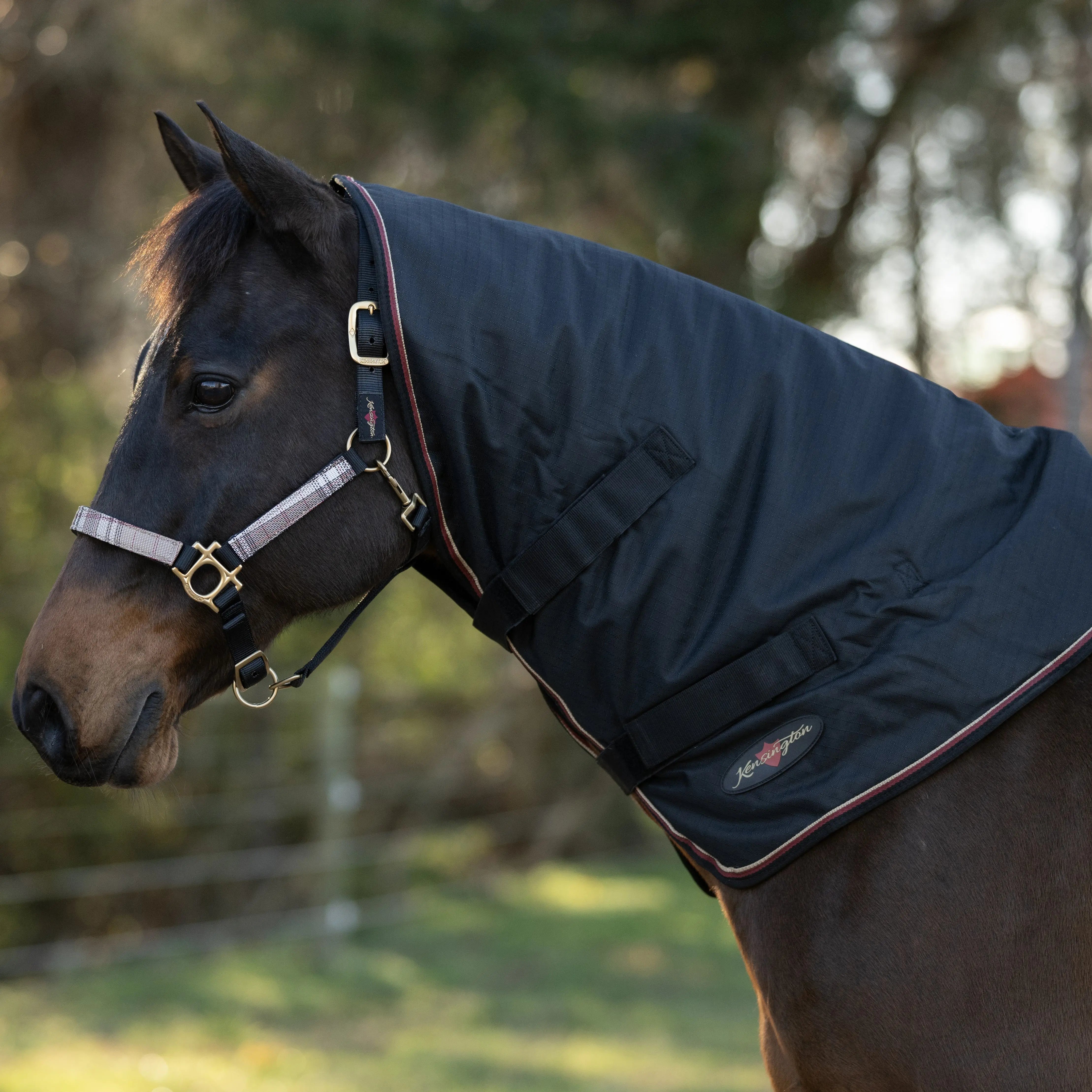 1200D 180G Medium Weight Waterproof & Breathable Winter Neck Warmer - Equine Exchange Tack Shop