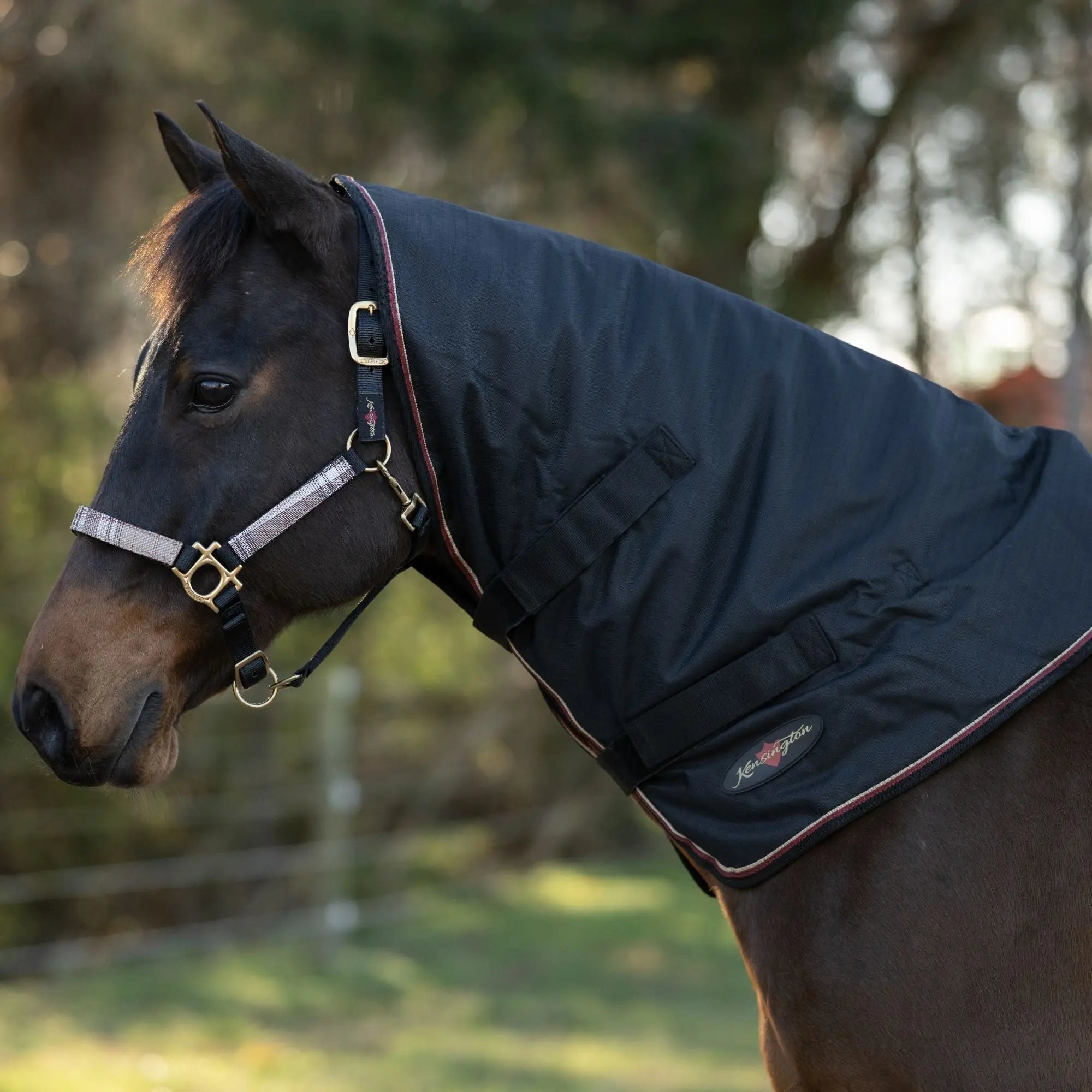 1200D 180G Medium Weight Waterproof & Breathable Winter Neck Warmer - Equine Exchange Tack Shop