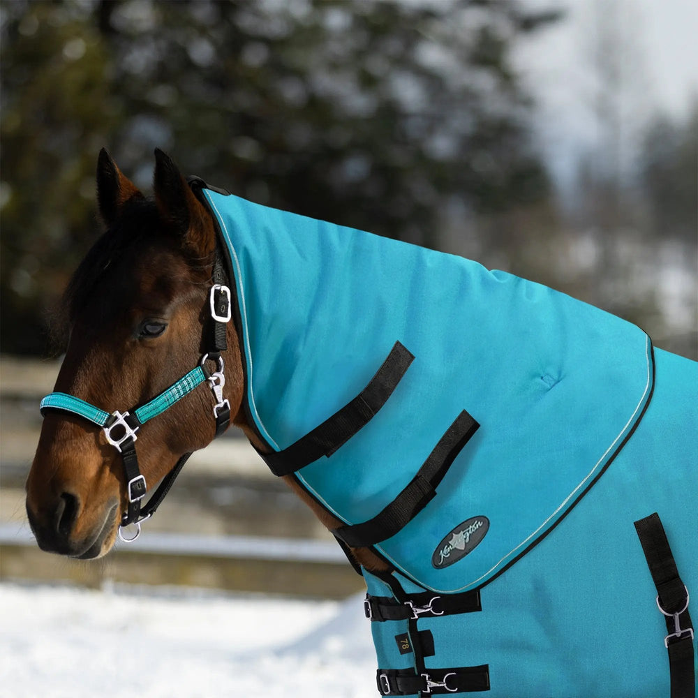 1200D 180G Medium Weight Waterproof & Breathable Winter Neck Warmer - Equine Exchange Tack Shop