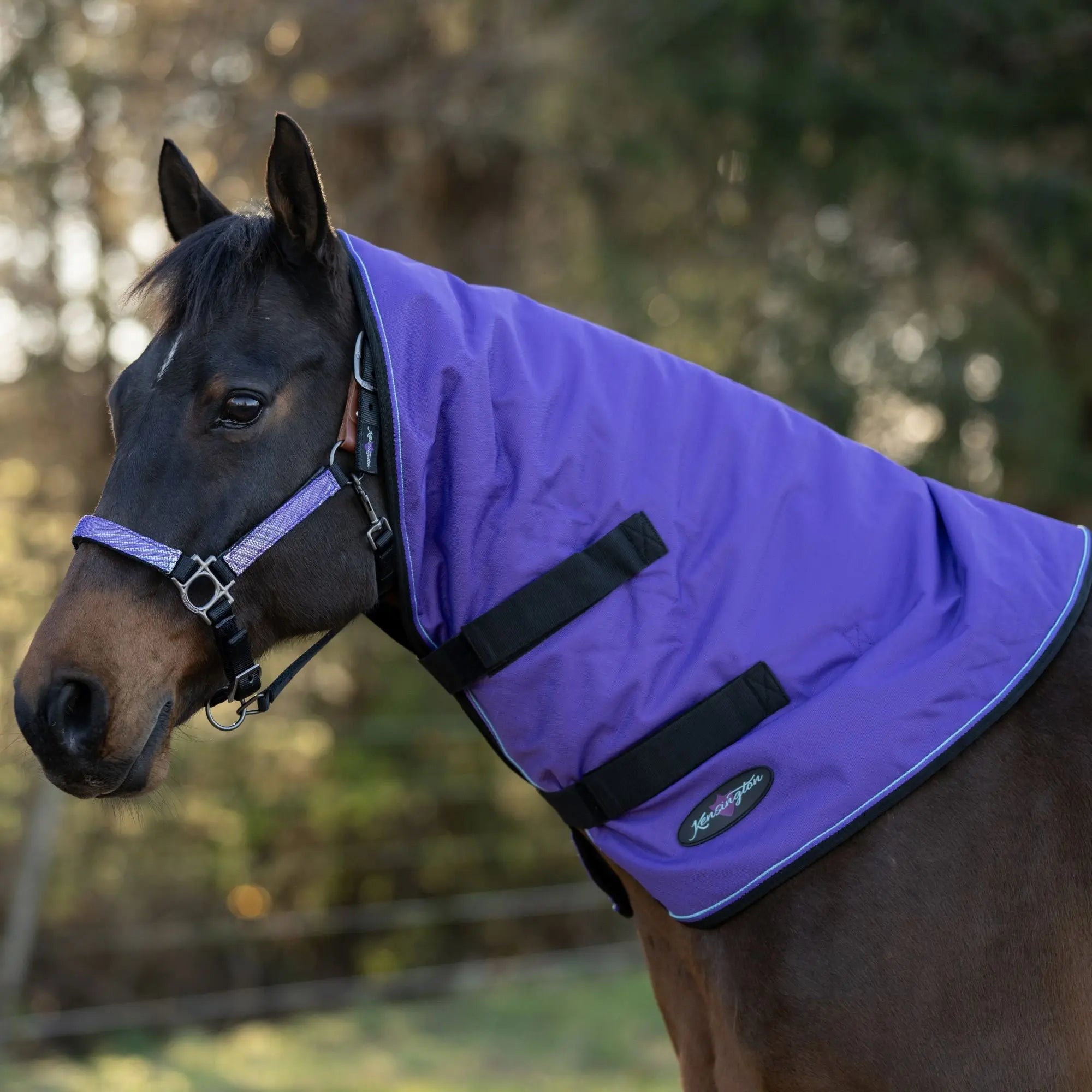 1200D 180G Medium Weight Waterproof & Breathable Winter Neck Warmer - Equine Exchange Tack Shop