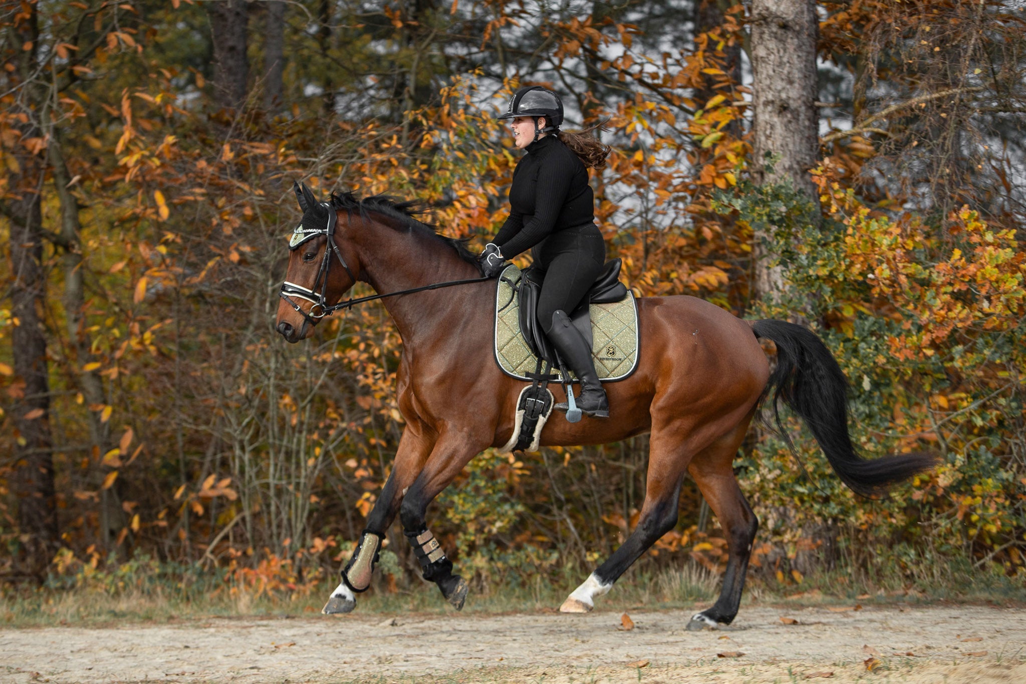 Astris Saddle Pad Set - Equine Exchange Tack Shop