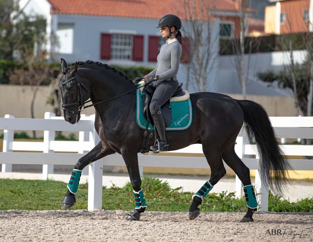 Teal Saddle Pad Set - Equine Exchange Tack Shop