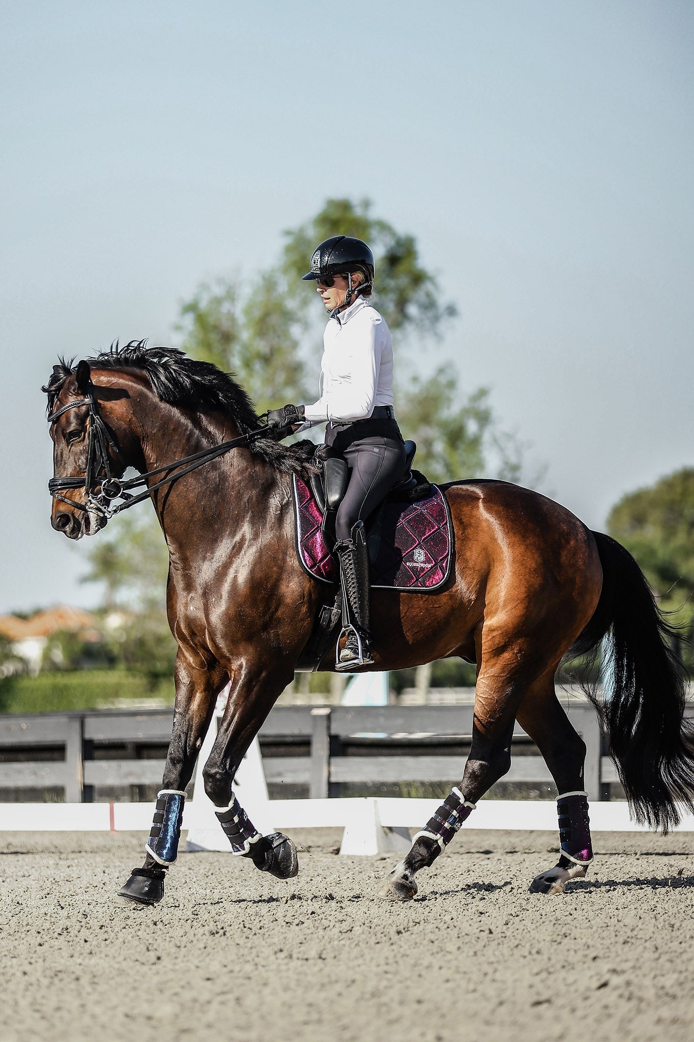 Ultraviolet Brushing Boots - Equine Exchange Tack Shop
