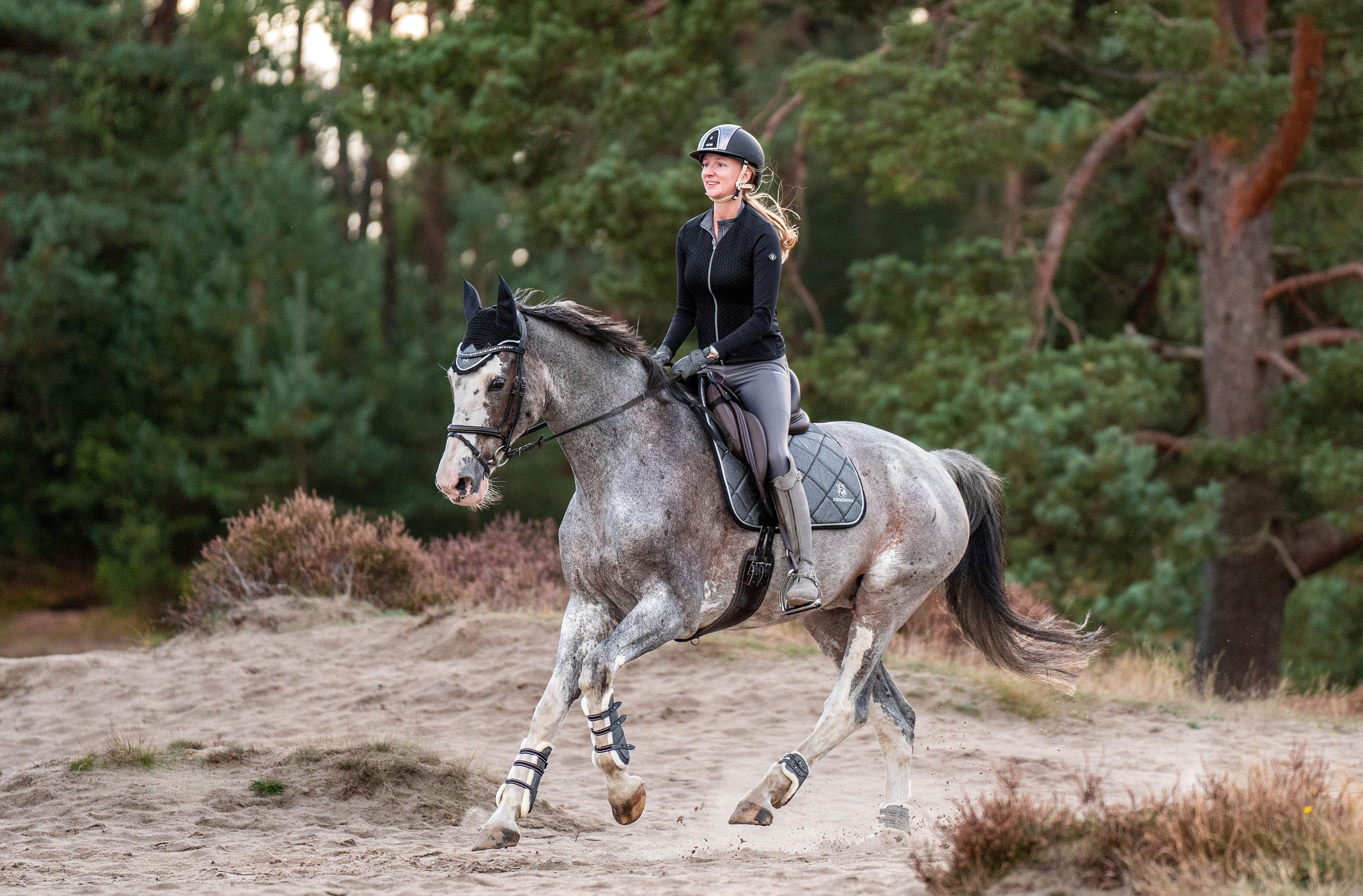 Stardust Grey Saddle Pad Set - Equine Exchange Tack Shop