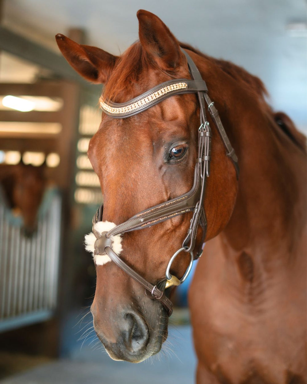 Hidden Flash!  Pro-fit Comfortable Bridle with Patent Noseband and Crystal Browband - Equine Exchange Tack Shop