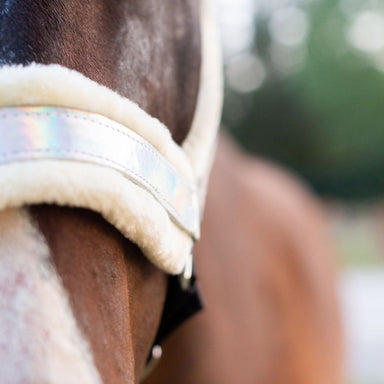 Holographic Halter - Equine Exchange Tack Shop