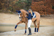 Blue Astra Saddle Pad Set - Equine Exchange Tack Shop