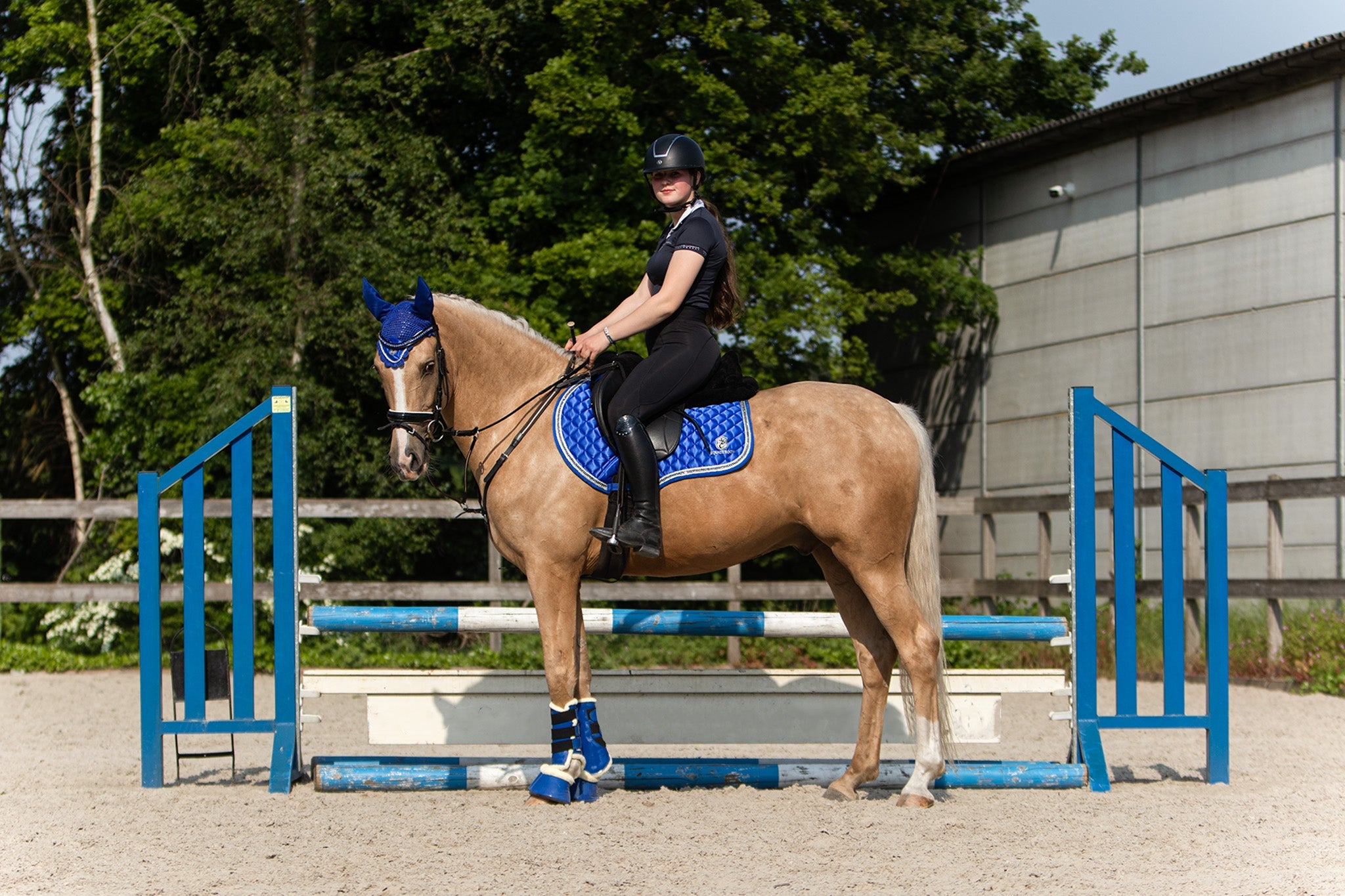 Majorelle Blue Saddle Pad - Equine Exchange Tack Shop