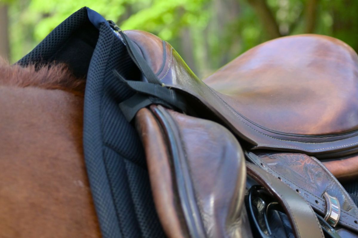 General Purpose Mesh Saddle Pad with Quick Dry Cotton Lining in Navy, White, or Black - Equine Exchange Tack Shop