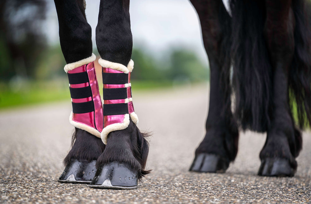 Neon Pink Brushing Boots - Equine Exchange Tack Shop