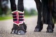Neon Pink Brushing Boots - Equine Exchange Tack Shop