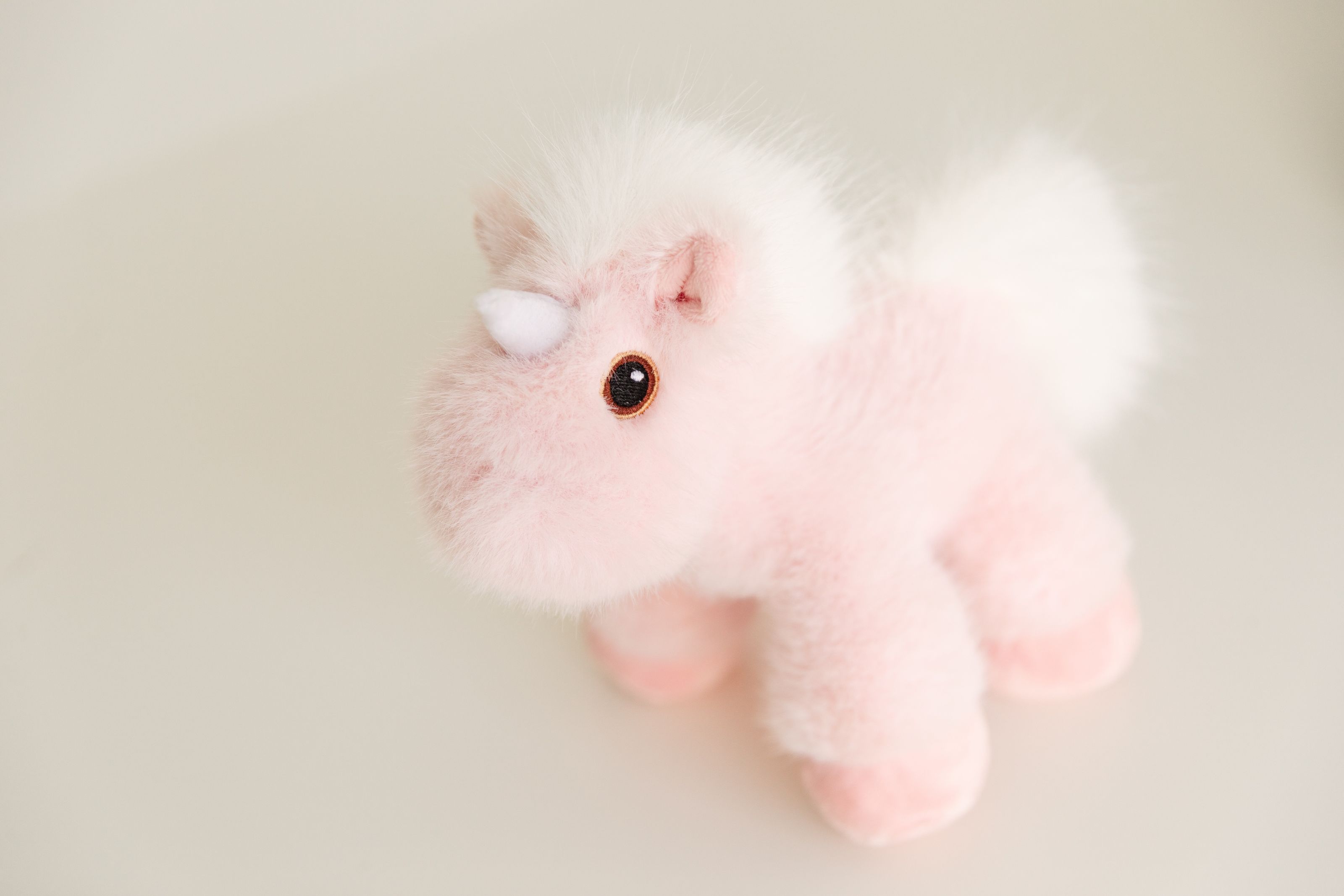 Piccoli Mini Horses