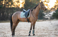 Teaparty Green Saddle Pad (Limited Edition) - Equine Exchange Tack Shop