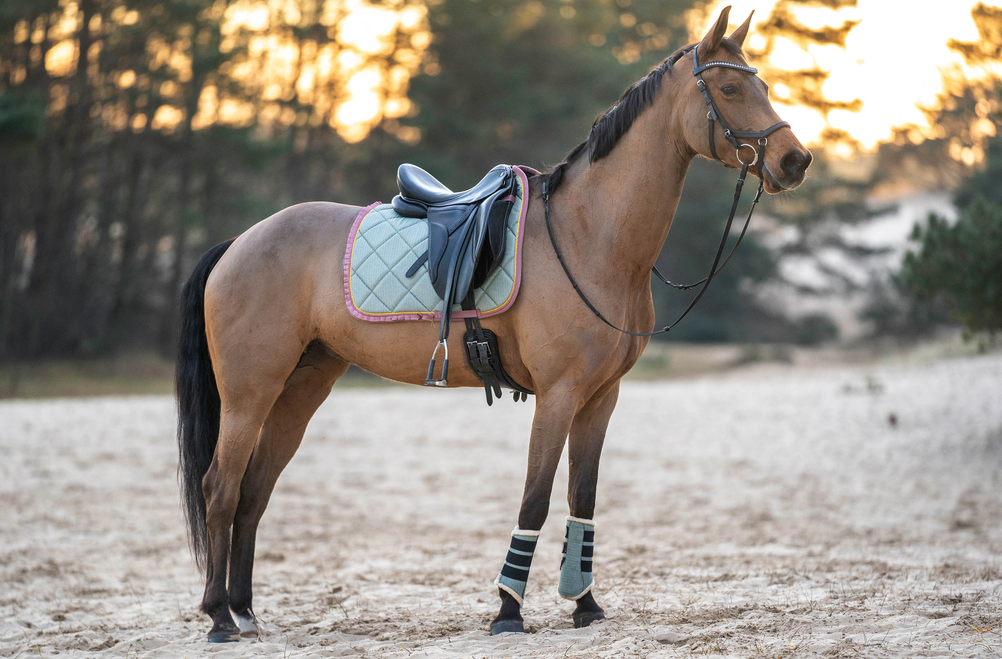 Teaparty Green Saddle Pad Set (Limited Edition) - Equine Exchange Tack Shop